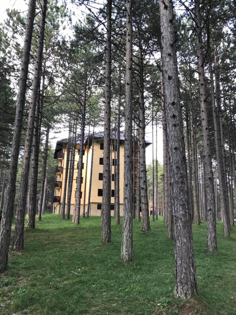 Zlatibor Apartmani Jakovljevic Esterno foto